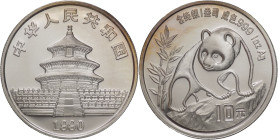 Cina - 10 yuan 1990 - 1OZ Ag. 999 - Panda - KM#276

FDC

SPEDIZIONE IN TUTTO IL MONDO - WORLDWIDE SHIPPING