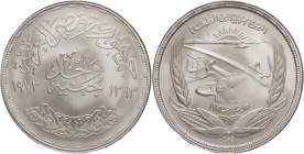 Egitto - 1 sterlina 1973 - F.A.O. Diga di Aswan - Ag. - KM# 439

BB

SPEDIZIONE IN TUTTO IL MONDO - WORLDWIDE SHIPPING