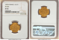 Louis XIV gold 1/2 Louis d'Or 1693-A XF45 NGC, Paris mint, KM301.1, Fr-434. 

HID09801242017

© 2022 Heritage Auctions | All Rights Reserved