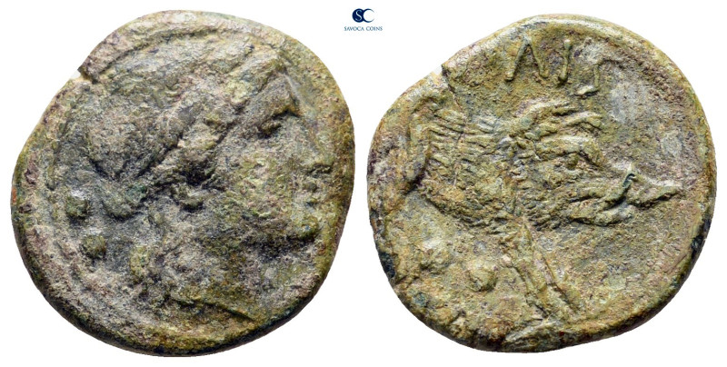 Lucania. Paestum circa 218-201 BC. 
Bronze Æ

13 mm, 2,37 g



very fine