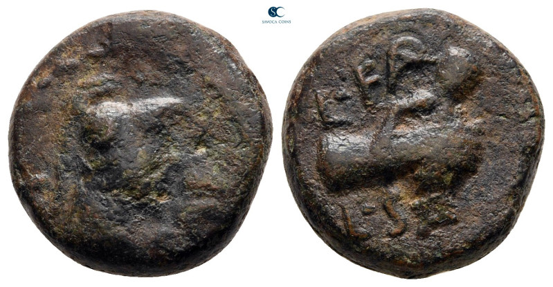 Lucania. Paestum circa AD 100. 
Bronze Æ

15 mm, 3,60 g



nearly very fi...