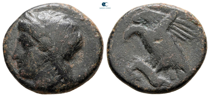 Sicily. Akragas circa 300 BC. 
Bronze Æ

18 mm, 4,56 g



nearly very fin...