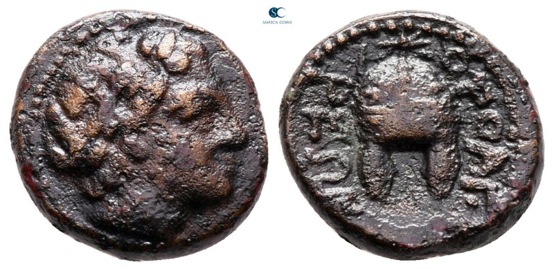 Macedon. Orthagoreia circa 250 BC. 
Bronze Æ

14 mm, 2,43 g



very fine