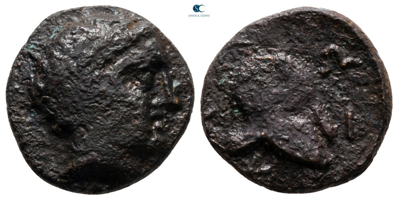 Macedon. Skione circa 400-350 BC. 
Bronze Æ

16 mm, 4,55 g



nearly very...