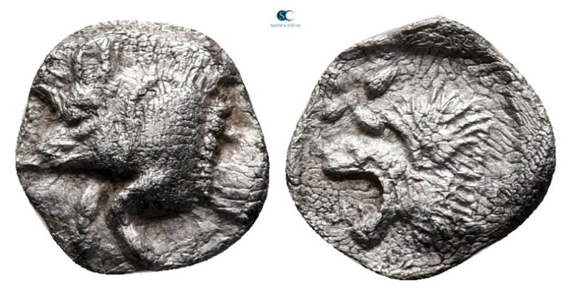 Mysia. Kyzikos circa 525-475 BC. 
Hemiobol AR

8 mm, 0,29 g



very fine