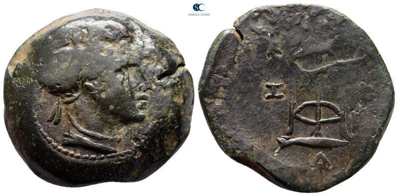 Mysia. Kyzikos circa 300-200 BC. 
Bronze Æ

30 mm, 19,70 g



very fine