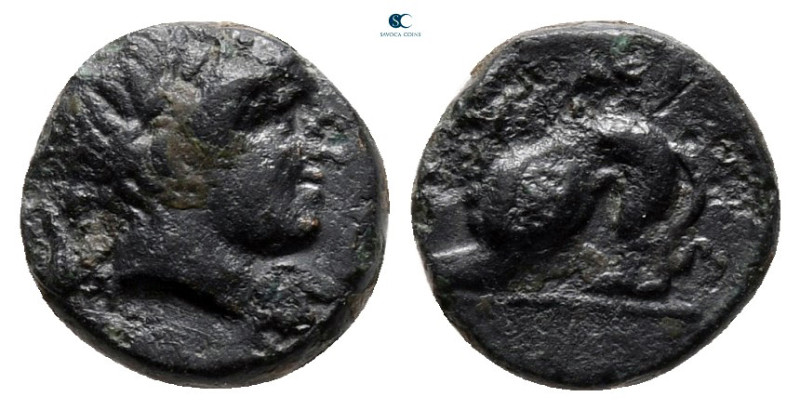 Lesbos. Nesos circa 300-200 BC. 
Bronze Æ

9 mm, 0,93 g



very fine