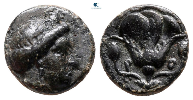 Islands off Caria. Rhodos circa 350-300 BC. 
Bronze Æ

11 mm, 1,35 g



v...