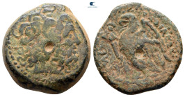 Ptolemaic Kingdom of Egypt. Ptolemy III Euergetes 246-221 BC. Bronze Æ