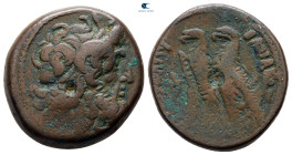Ptolemaic Kingdom of Egypt. Ptolemy III Euergetes 246-221 BC. Bronze Æ