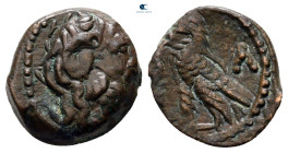 Ptolemaic Kingdom of Egypt. Time of Ptolemy VIII to Ptolemy X 145-88 BC. Bronze Æ