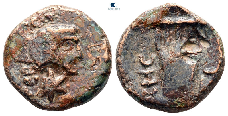 Thrace. Sestos. Augustus 27 BC-AD 14. 
Bronze Æ

17 mm, 3,62 g



nearly ...