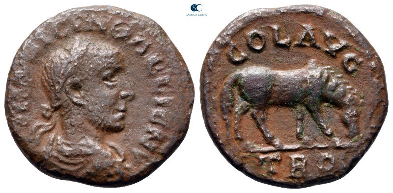Troas. Alexandreia. Gallienus AD 253-268. 
Bronze Æ

20 mm, 4,86 g



ver...