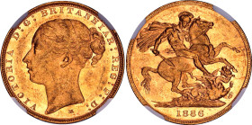 Australia 1 Sovereign 1886 M NGC MS 61
KM# 7; N# 9310; Gold (.917), 7.98g.; Victoria (1837-1901)