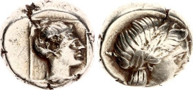 Ancient Greece Lesbos Mytilene EL Hekte / Sixth Stater 377 - 326 BC NGC VF
Bodenstedt Em. 95; HGC 6, 1021; Electrum 2.54 g., 10 mm.; Laureate head of...