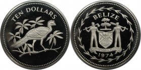 Weltmünzen und Medaillen, Belize. Tuberkelhokko. 10 Dollars 1974, Kupfer-Nickel. KM 45. Polierte Platte