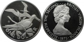 Weltmünzen und Medaillen, Britische Jungferninseln / British Virgin Islands. Fregattvogel. 1 Dollar 1975, Silber. 0.76 OZ. KM 6a. Polierte Platte