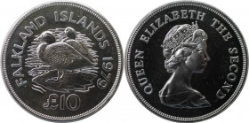 Weltmünzen und Medaillen, Falklandinseln / Falkland islands. Dampfschiffenten. 10 Pounds 1979, Silber. 1.04 OZ. KM 12. Stempelglanz
