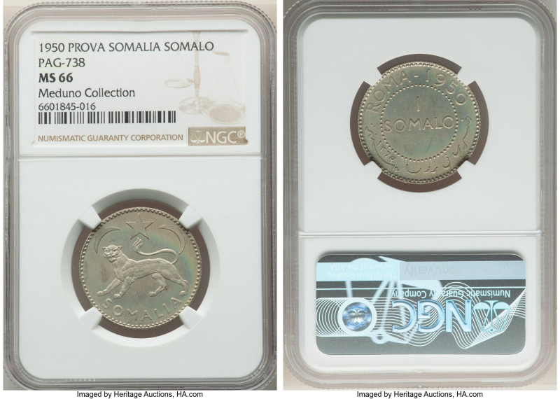 Italian Protectorate Prova Somalo AH 1369 (1950)-ROMA MS66 NGC, Rome mint, KM-Pr...