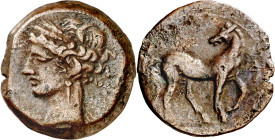 (221-210 a.C.). Zeugitana. Cartago. AE 21. (S. 6512 sim). 7,10 g. MBC+/MBC.