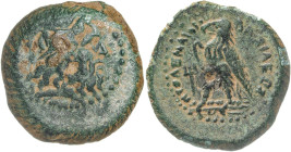 Egipto Ptolemaico. Ptolomeo III, Euergetes (246-221 a.C.). AE 14. (S. falta) (BMC. VI, 80). Pátina verde. 2,14 g. MBC.