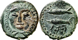 Asido (Medina Sidonia). Semis. (FAB. 156) (ACIP. 919). 4,69 g. EBC-.