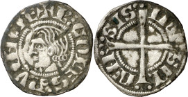 Comtat de Provença. Ramón Berenguer V (1209-1245). Provença. Diner marsellès. (Cru.V.S. 178) (Cru.Occitània 104) (Cru.C.G. 2034). Rara. 0,71 g. MBC+....