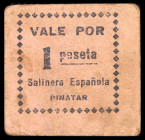 San Pedro del Pinatar (Murcia). Salinera Española. 1 peseta. (C. 275) (KG. 586a) (RGH. 4194). Cartón. Muy raro. MBC-.