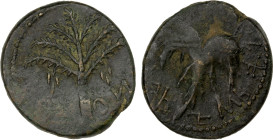 JUDEA: Bar Kochba Revolt, 132-135 AD, AE unit (9.36g), year 2 (133/4 AD), Hen-1408, Meshorer-260a, seven-branched palm tree with two bunches of dates,...