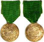 IRAN: Muzaffar al-Din Shah, 1896-1907, gilt AR medal, AH1317, Rabino-68, lion holding sword, rising sun behind // royal legend, award for valor, with ...