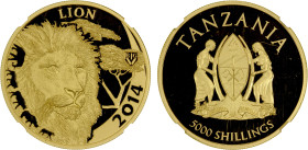 TANZANIA: Republic, AV 5000 shillings, 2014, Numista-173765, Serengeti Lion-Big 5 series, High Relief, One Ounce Gold, with COA, mintage of only 1,000...