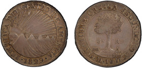 CENTRAL AMERICAN REPUBLIC: AR 8 reales, 1829-NG, KM-4, assayer M, PCGS graded EF45.
Estimate: USD 150 - 250