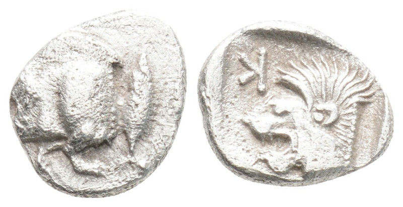 MYSIA. Kyzikos. Obol (Circa 450-400 BC).
Obv: Forepart of boar left; tunny to ri...