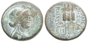 SELEUCIS AND PIERIA. Apamea. Ae. Dated RY 282 (31/30 BC).
Obv: Bust of Demeter right, with wreath of corn ears.
Rev: AΠAMEΩN THΣ IEPAΣ KAI AYTONOMOY /...