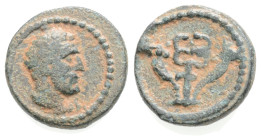Judaea, Askalon(?) Æ. Pseudo-autonomous issue. Temp. Augustus, 27 BCE - 14 CE. 
Obv: Male head to right.
Rev: Caduceus between crossed cornucopiae. RP...