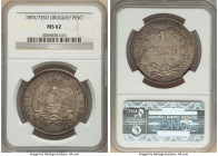 Republic Peso 1893/73-So MS62 NGC, Santiago mint, KM17a. 

HID09801242017

© 2022 Heritage Auctions | All Rights Reserved