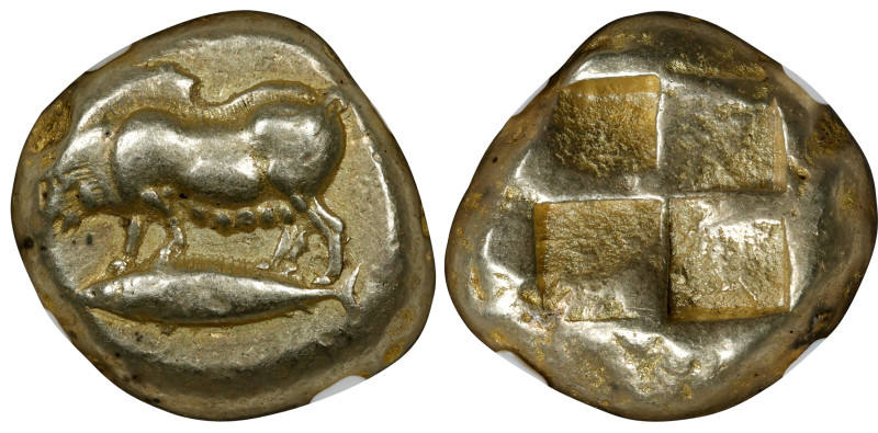 MYSIA. Kyzikos. EL Stater (16.10 gms), ca. 550-450 B.C. NGC Ch VF, Strike: 4/5 S...