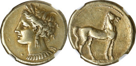 ZEUGITANA. Carthage. EL Stater (7.41 gms), Carthage Mint, ca. 310-290 B.C. NGC EF, Strike: 5/5 Surface: 4/5.
MAA-10; SNG Cop-975. Obverse: Head of Ta...