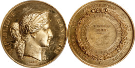 FRANCE. Dijon. Animal Husbandry Gold Award Medal, 1879. Paris Mint. PCGS SPECIMEN-61.
By Barre. Diameter: 33.5mm; Weight: 25.06 gms. Unawarded. Obver...