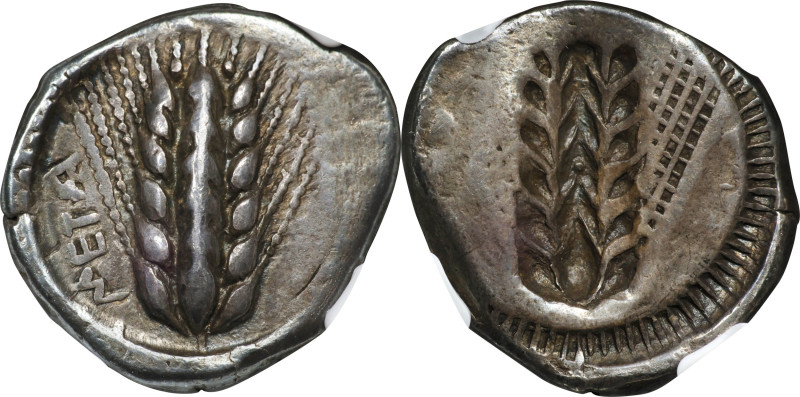 ITALY. Lucania. Metapontion. AR Stater (Nomos) (8.11 gms), ca. 470-440 B.C. NGC ...