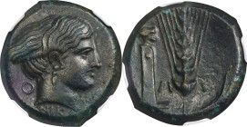 ITALY. Lucania. Metapontion. AE Obol, ca. 400-340 B.C. NGC EF. Fine Style.
HGC-1, 1096; HN Italy-1641. Obverse: Head of Nike right; O behind neck; Re...