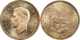 SOUTH AFRICA. 5 Shillings, 1950. Pretoria Mint. George VI. PCGS PROOFLIKE-67.
KM-40.1; Hern-S315. Mintage: 1,200. Surpassed in the PCGS census by jus...