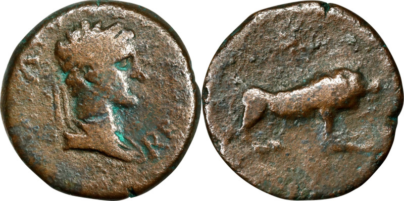 MAURETANIA. Ptolemy. AE 1/2 Unit (6.23 gms), Caesarea Mint, ca. A.D. 24-40. FINE...
