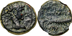 GAIUS CAESAR, 12 B.C. to A.D. 4. Phrygia, Hierapolis. AE 15 mm. NGC VF. Light Scratches.
RPC-2946 (Augustus). Obverse: Bare head of Gaius right; Reve...