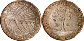 GUATEMALA. Central American Republic. 8 Reales, 1824-NG M. Nueva Guatemala Mint. NGC AU-55.
KM-4.

Estimate: $600.00- $900.00