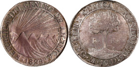 GUATEMALA. Central American Republic. 8 Reales, 1824-NG M. Nueva Guatemala Mint. PCGS AU-53.
KM-4.

Estimate: $600.00- $900.00