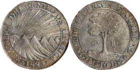 GUATEMALA. Central American Republic. 8 Reales, 1825-NG M. Nueva Guatemala Mint. PCGS AU-53.
KM-4.

Estimate: $400.00- $600.00