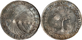 GUATEMALA. Central American Republic. 8 Reales, 1835-NG M. Nueva Guatemala Mint. PCGS Genuine--Cleaned, AU Details.
KM-4. Coin alignment variety.

...