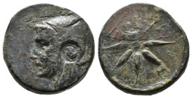 (Bronze, 20.93g 28mm)Griechische Münzen: Pontos, Amisos: AE 24 (85-65 v.Chr.). Zeit des Mithradates VI. Kopf des Mithradates VI.