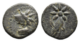 (Bronze, 1.44g 12mm)Pontos AE12, uncertain mint
Pontos, uncertain mint. AE12 
Obv. Head of horse with star on neck to right.